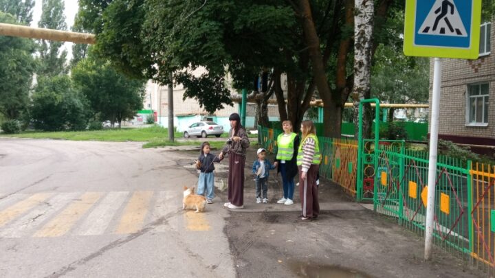 Инспектор по пропаганде БДД отделения ГИБДД города Ртищево совместно с родительским патрулем МДОУ «Детский сад № 6 «Медвежонок»» г. Ртищево Саратовской области провели профилактическое занятие на нерегулируемом пешеходном переходе вблизи детского сада