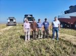В Ртищевском районе продолжается уборочная кампания