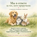 Мы в ответе за тех, кого приручили: о гуманном отношении к животным