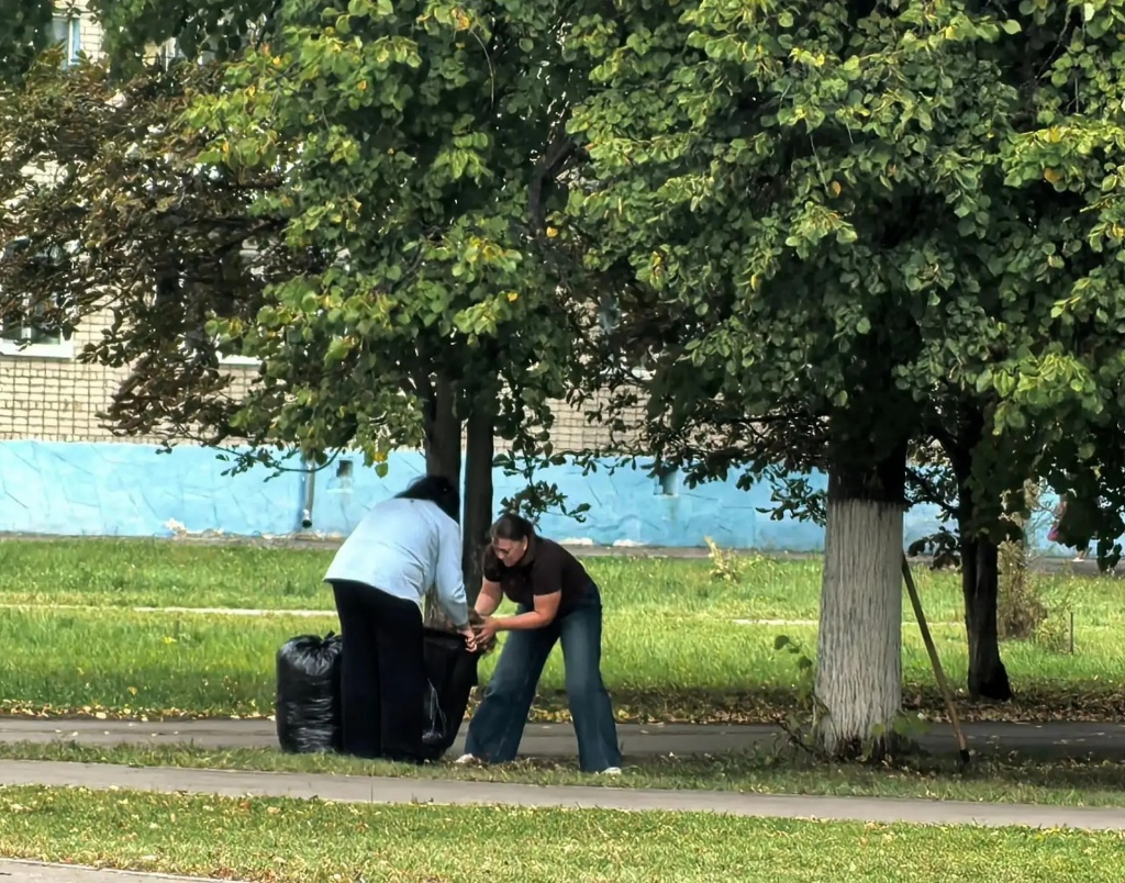 В преддверии Дня города прошли традиционные осенние мероприятия по уборке территорий