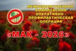 В регионе стартовал третий этап оперативно-профилактической операции «Мак — 2026»