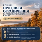 В регионе продлили ограничения на пребывание граждан в лесах