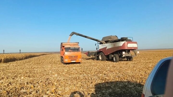 В Ртищевском районе продолжается уборочная кампания